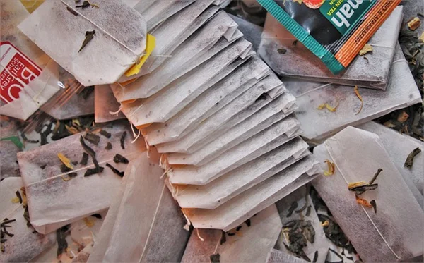 How to Deadhead Blanket Flowers for Nonstop Blooms